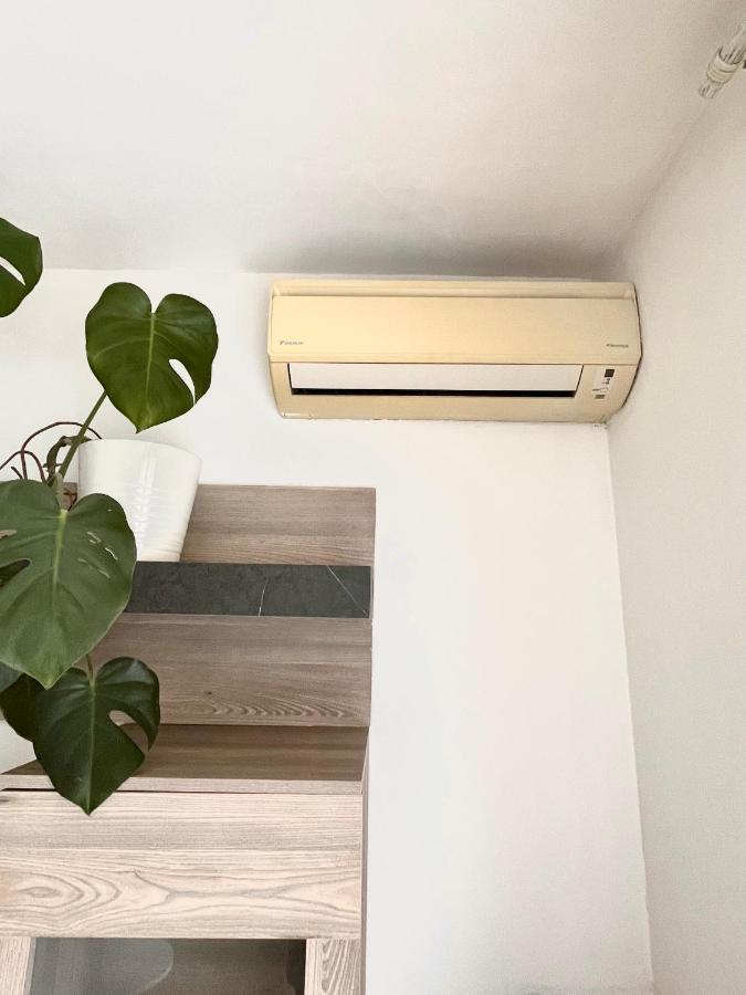 Antibes Home 2P 50M2 With Ac & Free Parking & 2 Balconies Extérieur photo